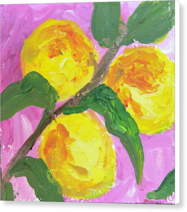 Peaches on Pink Botanical Canvas Print — White wrap