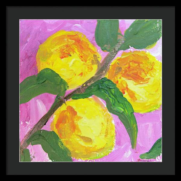 Peaches on Pink Botanical Framed Print — Black frame, Black mat, 20" x 20"