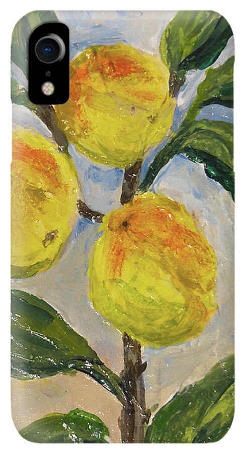 Soft Light in the Orchard Peach Branch iPhone Case — iPhone XR Case