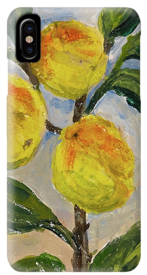 Soft Light in the Orchard Peach Branch iPhone Case — iPhone XS Max Case