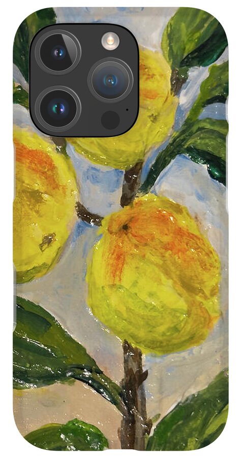 Soft Light in the Orchard Peach Branch iPhone Case — iPhone 16 Pro Case