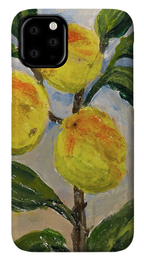 Soft Light in the Orchard Peach Branch iPhone Case — iPhone 11 Pro Case