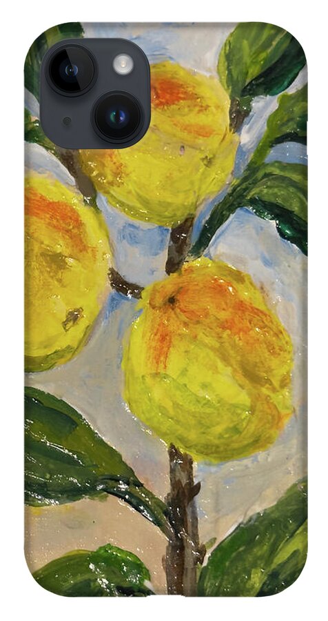 Soft Light in the Orchard Peach Branch iPhone Case — iPhone 14 Plus Case