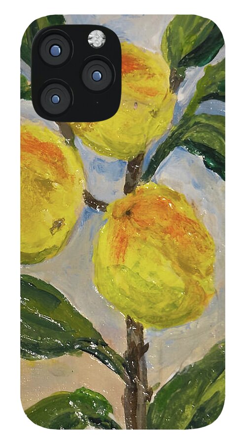 Soft Light in the Orchard Peach Branch iPhone Case — iPhone 12 Pro Max Case