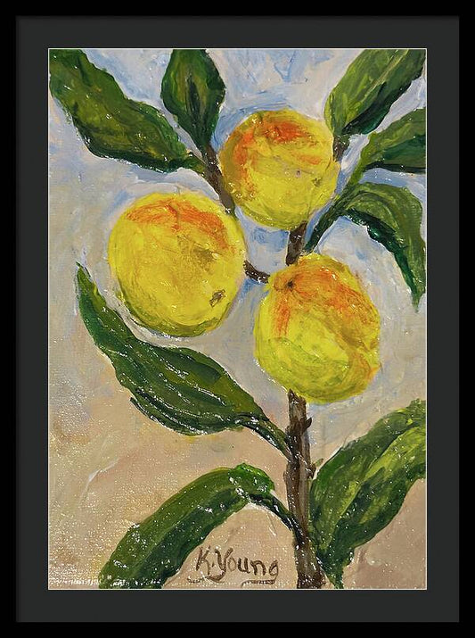 Framed print of Soft Light in the Orchard, Kathryn Young's painting of peaches on a leafy branch in soft golden light