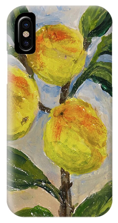 Soft Light in the Orchard Peach Branch iPhone Case — iPhone XS Case