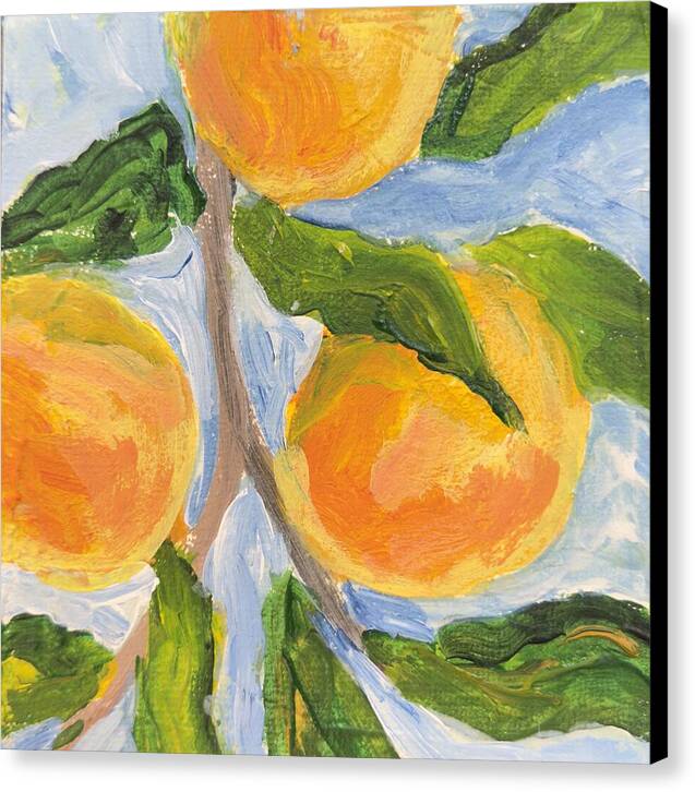 Where the Sun Found Them Peach Branch Canvas Print — Black wrap