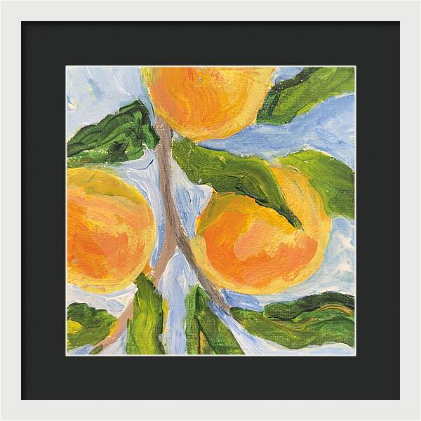 Where the Sun Found Them Peach Branch Framed Print — White frame, Black mat, 12" x 12"