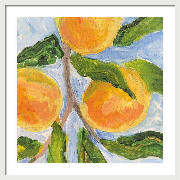Where the Sun Found Them Peach Branch Framed Print — White frame, White mat, 24" x 24"